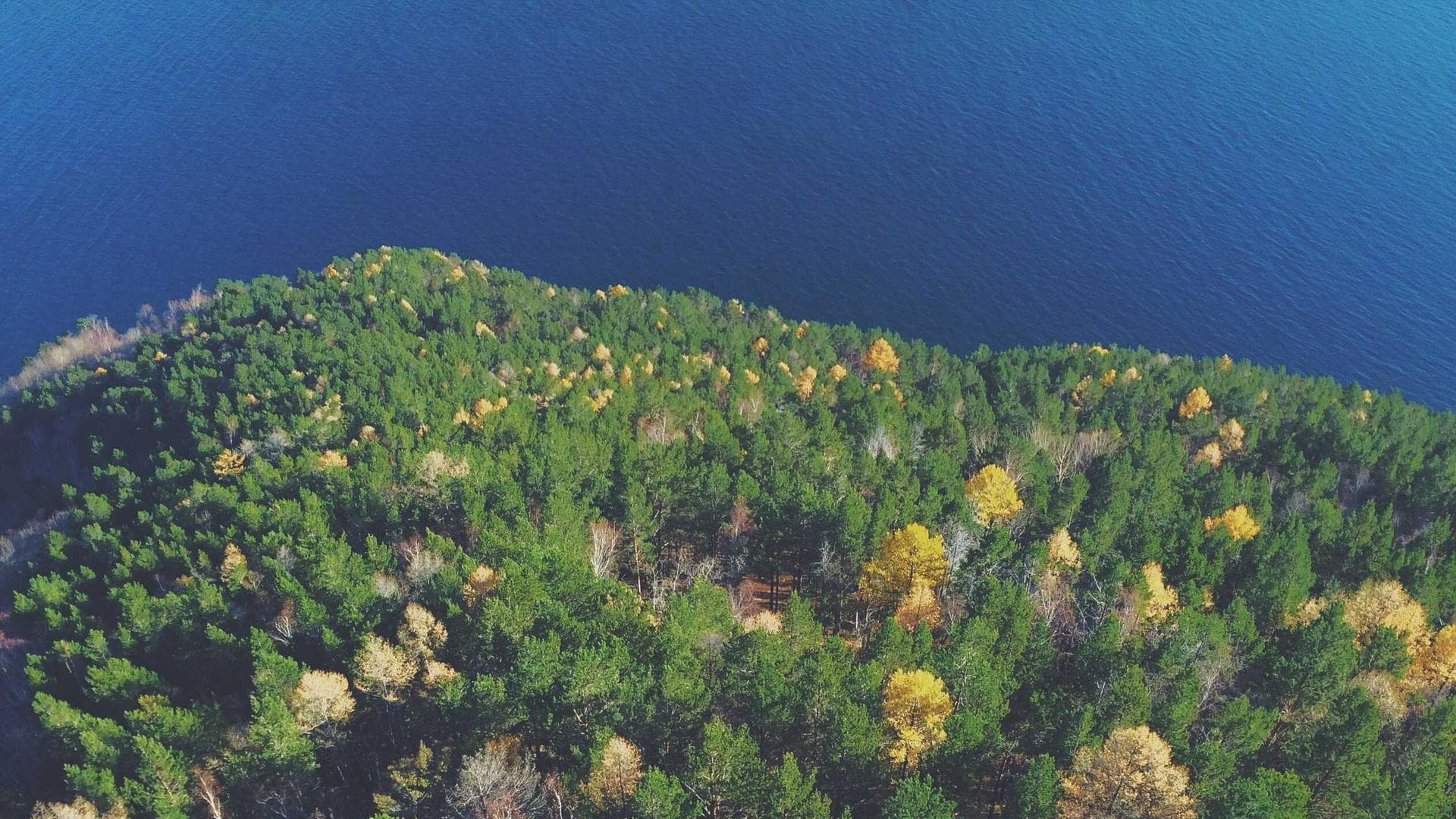 Industrial Manufacturing Blog