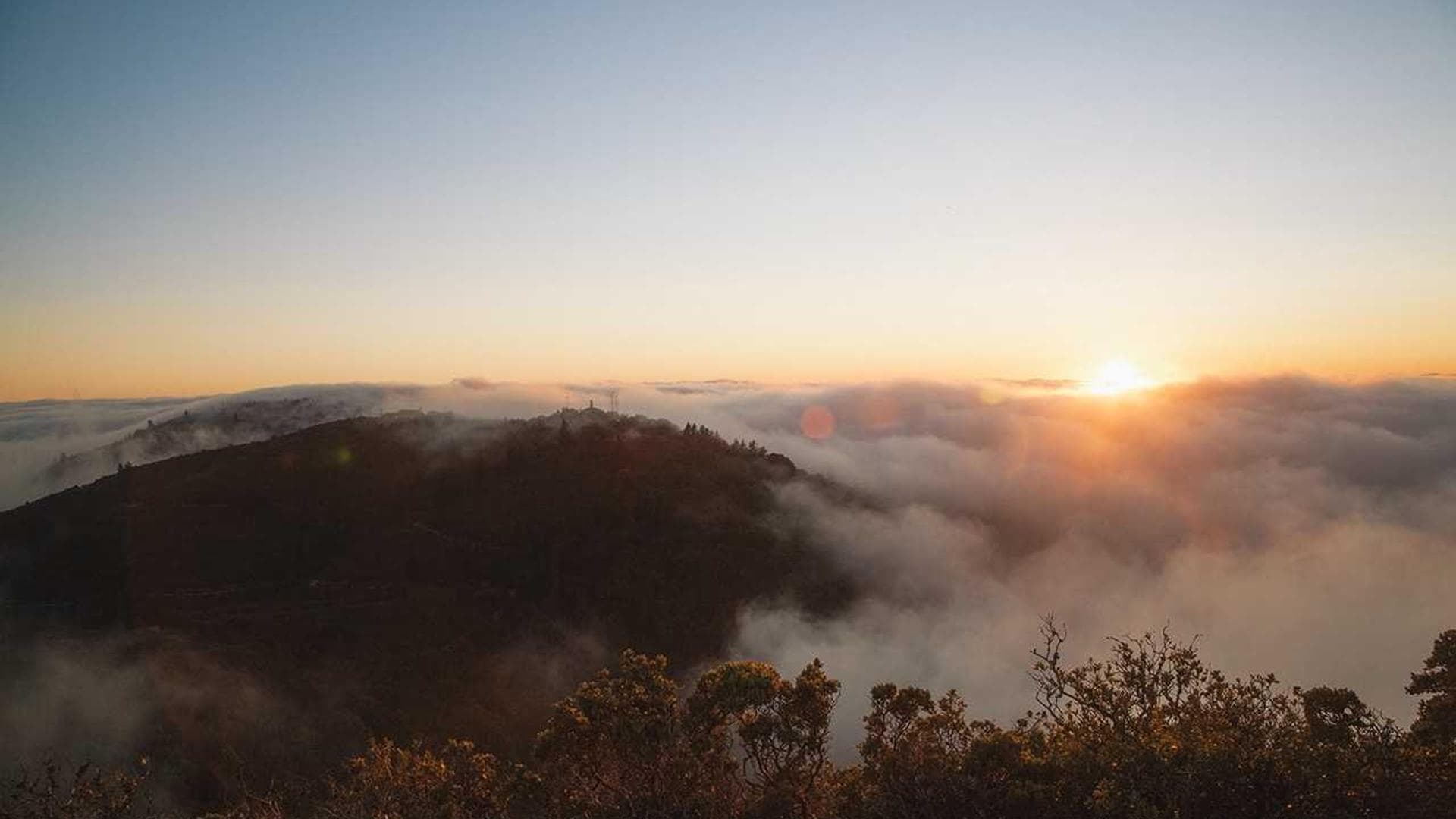 Contact RMS Group India