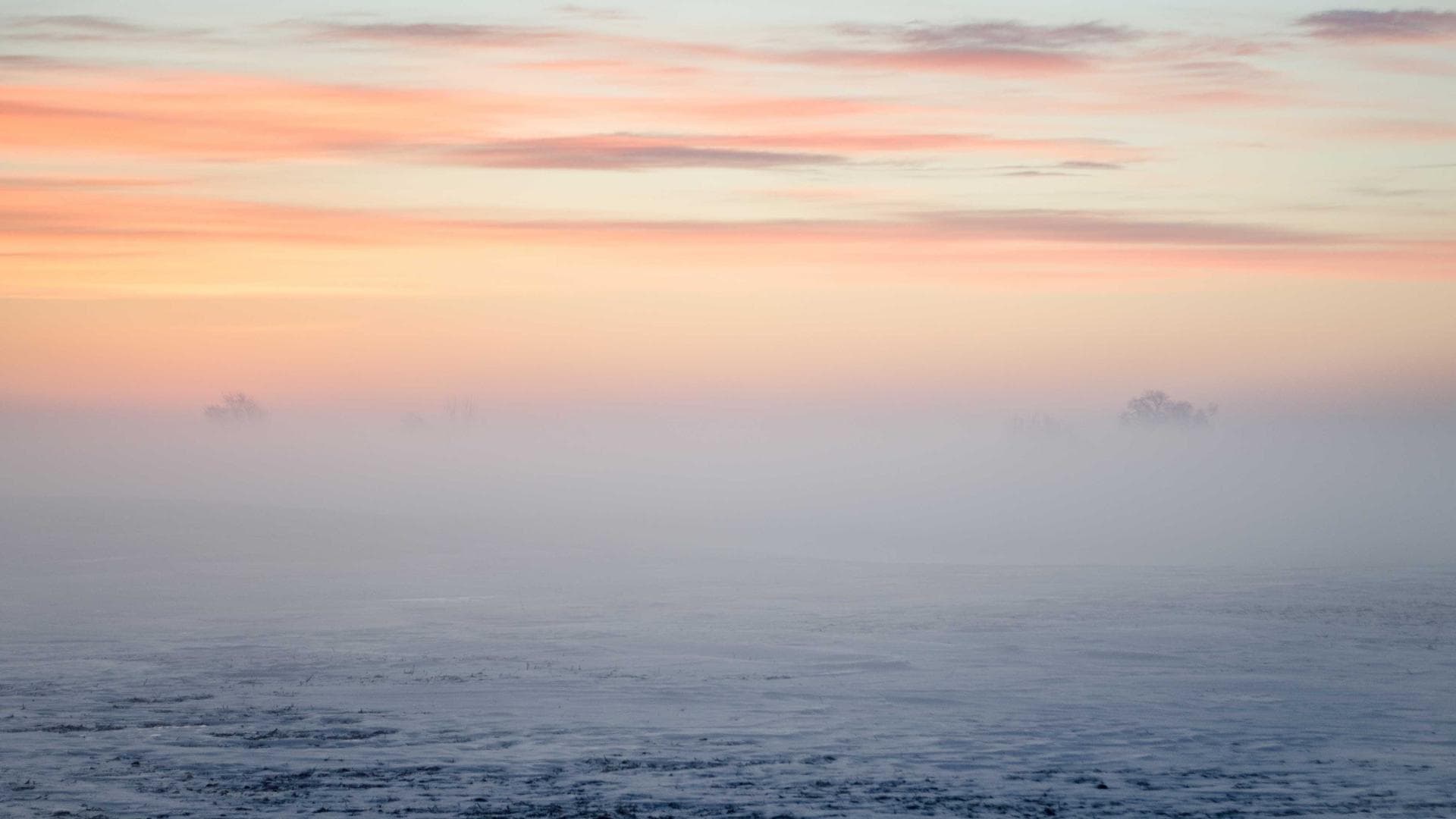 Global Export Logistics